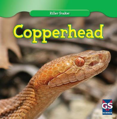 Copperhead - Braidich, Victoria