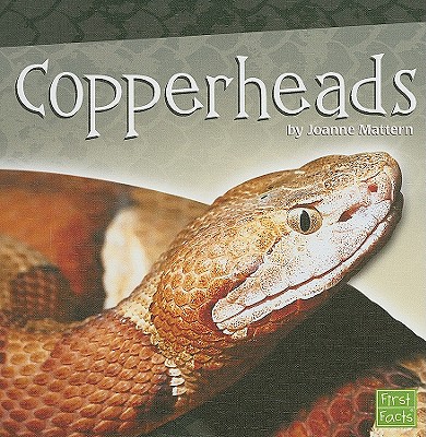 Copperheads - Mattern, Joanne