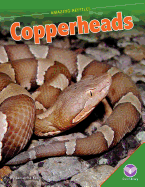 Copperheads