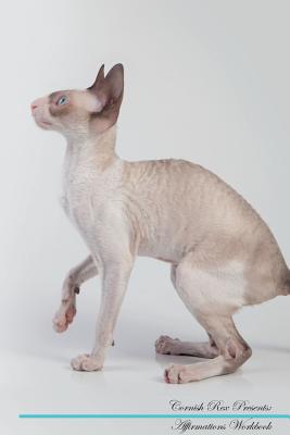 Cornish Rex Affirmations Workbook Cornish Rex Presents: Positive and Loving Affirmations Workbook. Includes: Mentoring Questions, Guidance, Supporting You. - Positivity, Live