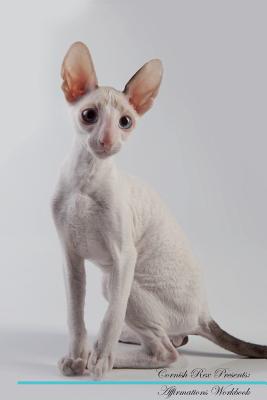 Cornish Rex Affirmations Workbook Cornish Rex Presents: Positive and Loving Affirmations Workbook. Includes: Mentoring Questions, Guidance, Supporting You. - Positivity, Live