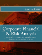 Corporate Financial & Risk Analysis
