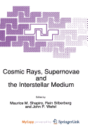 Cosmic Rays, Supernovae and the Interstellar Medium