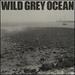 Wild Grey Ocean / Little Bull of Blithe-Limited White Colored Vinyl [Vinyl]