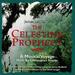 James Redfield's the Celestine Prophecy: a Musical Voyage