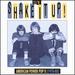 D.I.Y. : Shake It Up! American Power Pop II (1978-80)