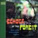 Echoes of the Forest: Music of the Central African Pygmies