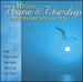 16 Great Praise and Worship Instrumentals, Vol. 2
