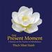 The Present Moment: a Retreat on the Practice of Mindfulness