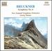 Bruckner: Symphony No. 6 in a Major-Georg Tintner