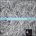 Owen Underhill: Still Image