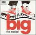 Big: the Musical (1996 Original Broadway Cast)