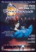 Riverdance-Live From New York City