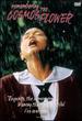 Remembering the Cosmos Flower [Dvd]