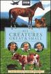 All Creatures Great & Small: the Complete Series 1 Collection