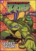 Teenage Mutant Ninja Turtles-Secret Origins (Volume 10)