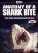Anatomy of a Shark Bite [Dvd]