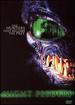 Night Feeders [Dvd]