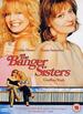 The Banger Sisters [Dvd] [2003]