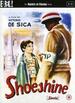 Shoe-Shine [Import Anglais]