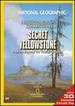 Secret Yellowstone
