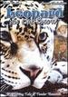 Leopard in the Snow [Dvd]