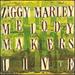 Ziggy Marley & the Melody Makers Live 1