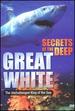 Secrets of the Deep: Great White [Dvd]