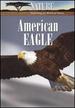 Nature: American Eagle