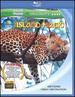 Wild Asia: Island Magic (Discover Channel Hd) [Blu-Ray]