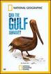 Can the Gulf Survive?