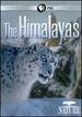Nature: the Himalayas