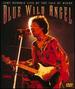 Blue Wild Angel: Jimi Hendrix at the Isle of Wight