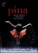 Pina [Dvd] [2011]