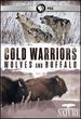 Nature: Cold Warriors-Wolves & Buffalos