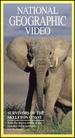 National Geographic's Survivors of the Skeleton Coast [Vhs]