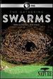 Nature: the Gathering of Swarms