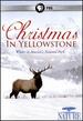Nature: Christmas in Yellowstone