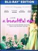 A Beautiful Now [Blu-Ray]