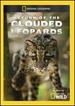 Return of the Clouded Leopards