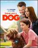 Think Like A Dog (1 BLU RAY DISC ONLY)