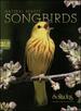 Natural Beauty Songbirds [3 Cd Box Set]-Songbirds at Sunrise / Songbird Symphony / Songbirds at Sunset By Solitudes