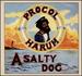 A Salty Dog