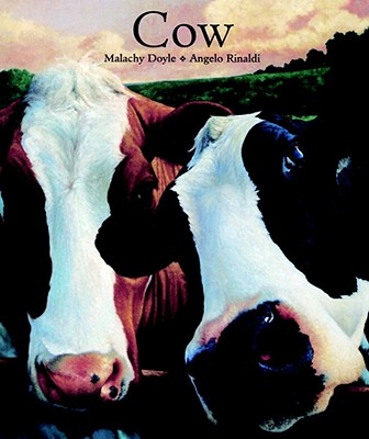 Cow - Doyle, Malachy