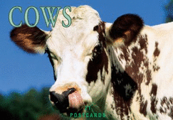 Cows Postcard Book