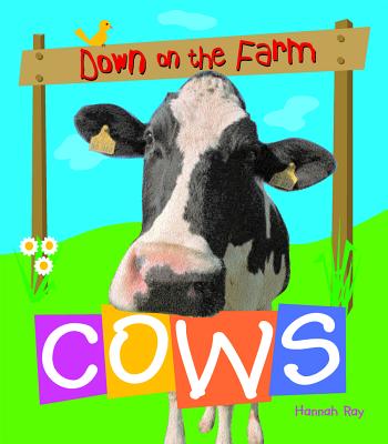 Cows - Ray, Hannah