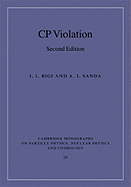 CP Violation