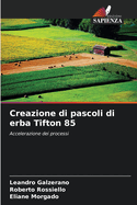 Creazione di pascoli di erba Tifton 85