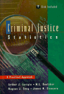 Criminal Justice Statistics: A Practical Approach - Dantzker, M L, and Seng, Magnus J, and Lurigio, Arthur J