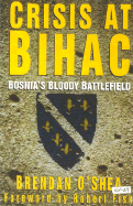 Crisis at Bihac: Bosnia's Bloody Battlefield